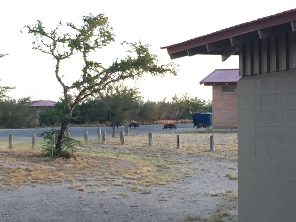 Falcon State Park Texans Travel Life