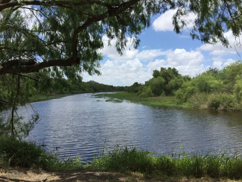 Resaca de la Palma State Park Texans Travel Life